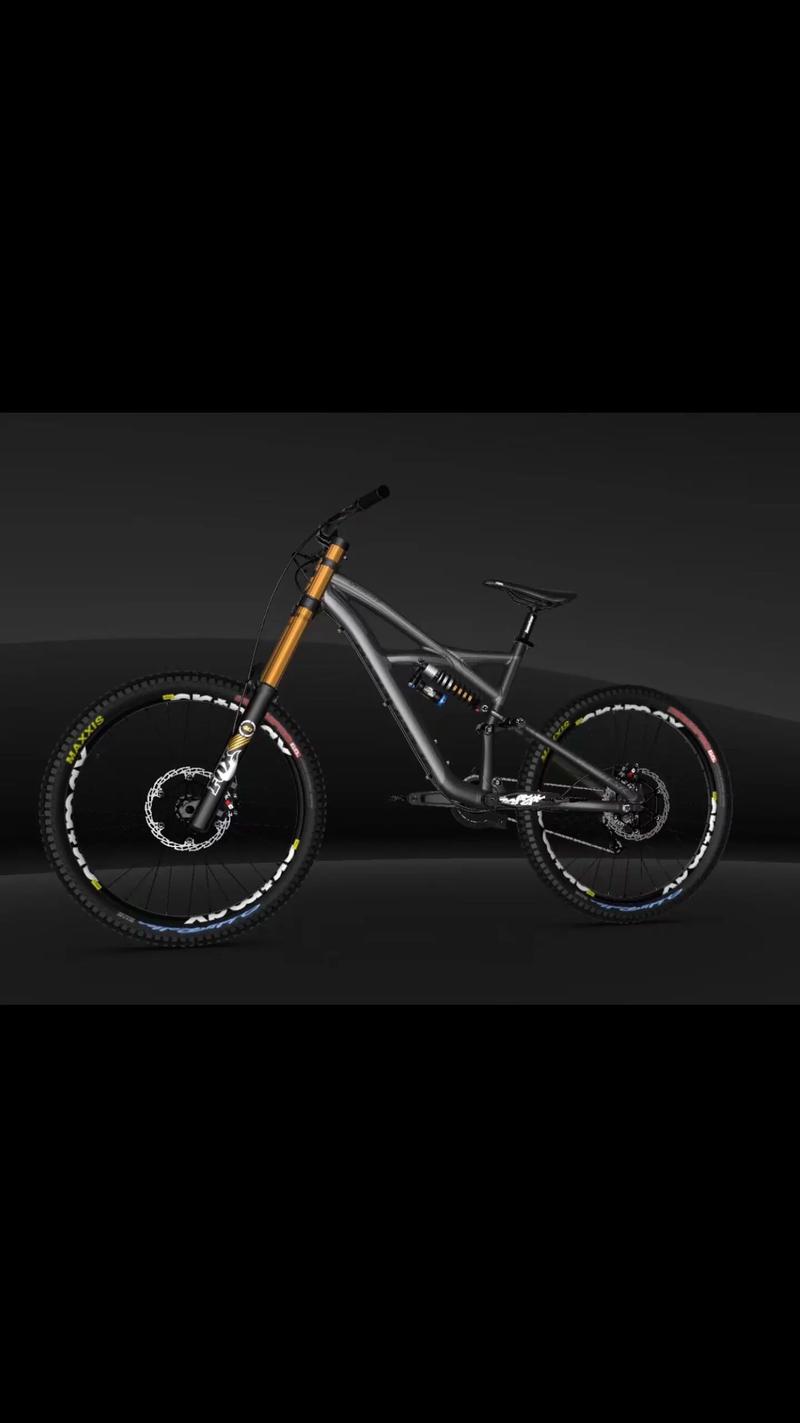 #雙輪驅(qū)動bike #崔克蝴蝶自行車 #騎行city不city