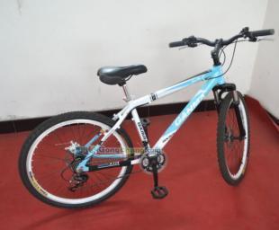 供應26式自行車價格_供應26式自行車廠家_世界工廠網產品信息庫