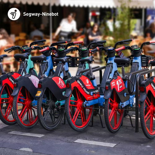 九號公司上半年業(yè)績創(chuàng)新高,實(shí)現(xiàn)營收66.66億元