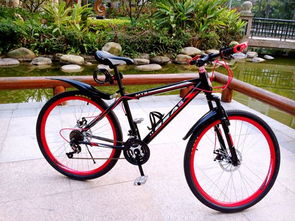 自行車尺寸解讀 XS、S、M、L 的意義及其在電動自行車制造中的應用